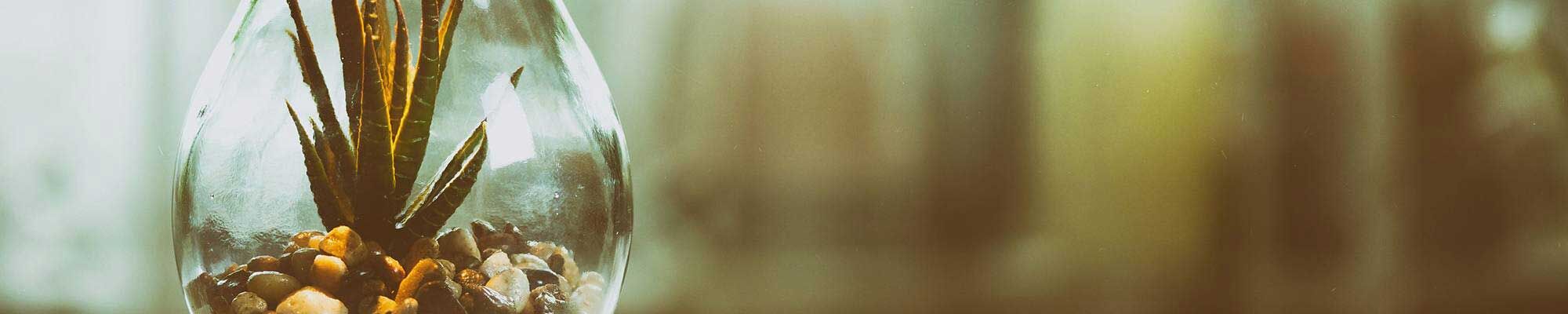 Infinity Labs Werbeagentur Bassum